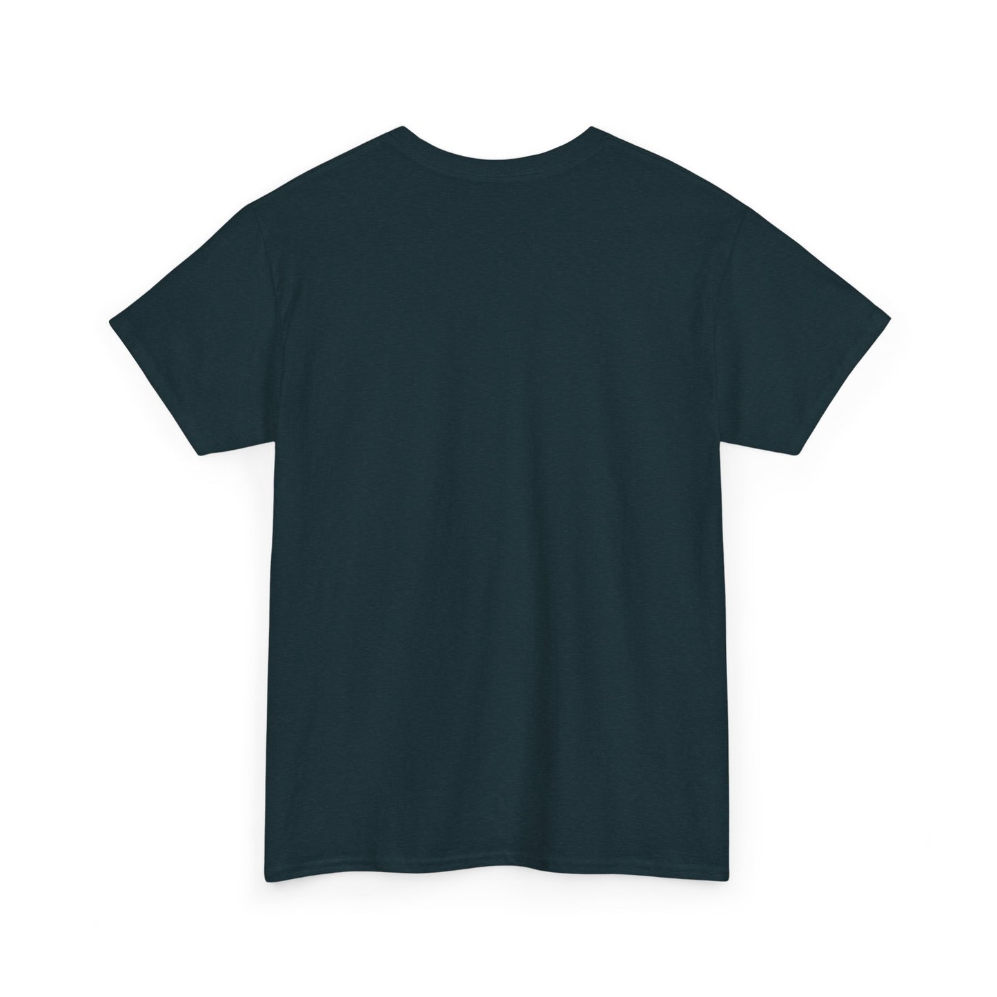 Fred Hollow – The Outlaw Sessions: Railroad Saint 2-Unisex Heavy Cotton Tee