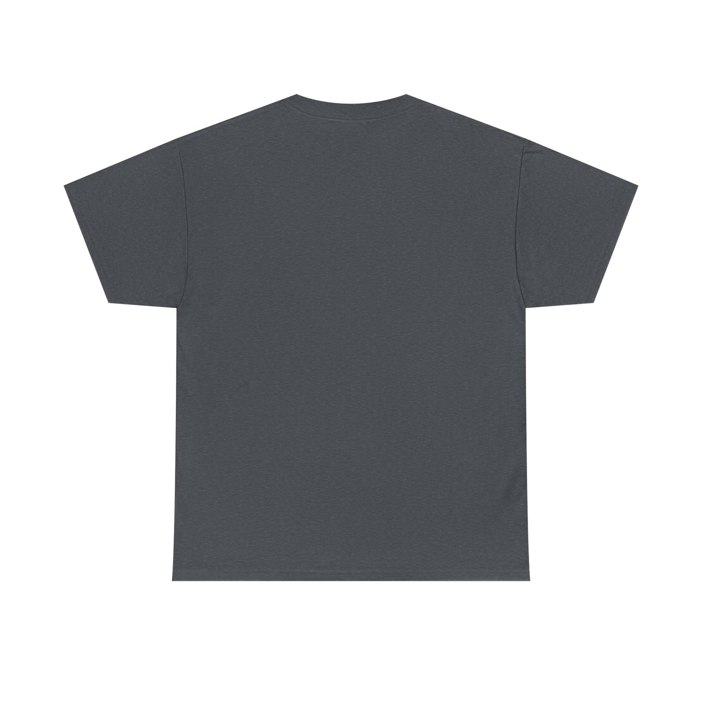 Whiskey, Wounds & Redemption- Unisex Heavy Cotton Tee