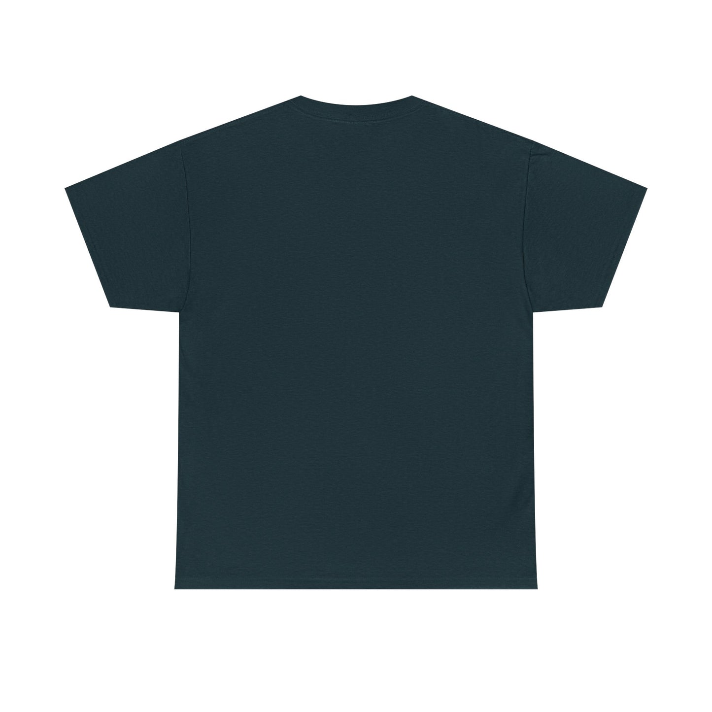 Fred Hollow – The Outlaw Sessions: Railroad Saint 2-Unisex Heavy Cotton Tee